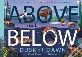 Above And Below: Dusk Till Dawn