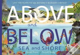 Above And Below: Sea And Shore