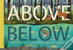 Capa do artigo Above And Below