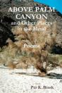 Above Palm Canyon And Other Places In The Mind - Preview