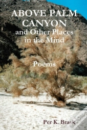 Above Palm Canyon And Other Places In The Mind