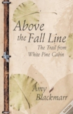 Capa do artigo Above The Fall Line