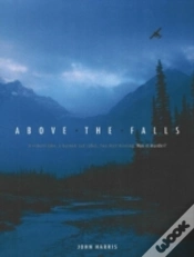 Capa do artigo Above The Falls
