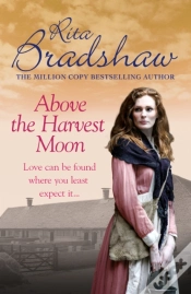 Capa do artigo Above The Harvest Moon