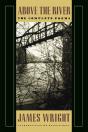 Above The River - Preview