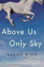 Above Us Only Sky - Preview