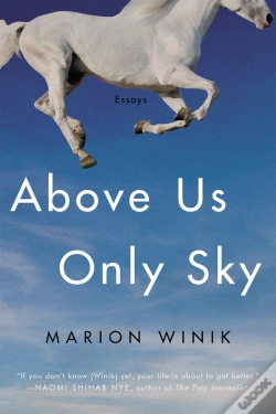 Capa do artigo Above Us Only Sky