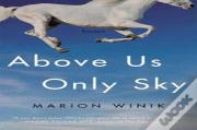 Above Us Only Sky