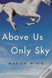 Capa do artigo Above Us Only Sky