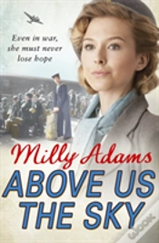 Capa do artigo Above Us The Sky
