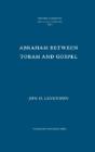 Abraham Between Torah And Gospel - Preview