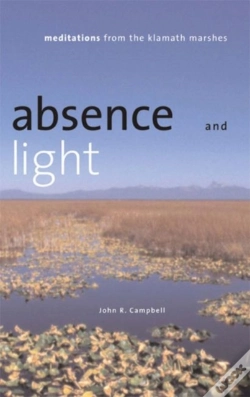 Capa do artigo Absence And Light