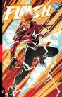 Absolute Flash Vol. 2: Still Point - Preview