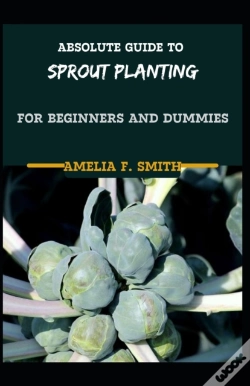 Capa do artigo Absolute Guide To Sprout Planting For Beginners And Dummies