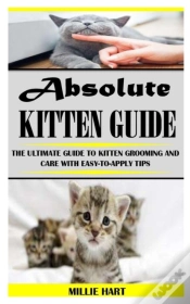 Capa do artigo Absolute Kitten Guide
