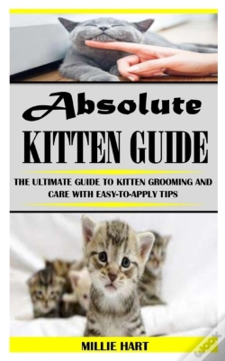 Capa do artigo Absolute Kitten Guide
