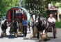 Absolutely Appleby - Preview