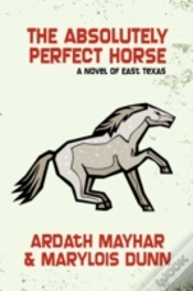 Capa do artigo Absolutely Perfect Horse
