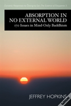Capa do artigo Absorption In No External World