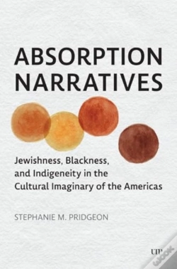 Capa do artigo Absorption Narratives