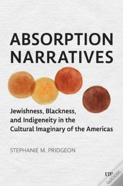 Capa do artigo Absorption Narratives