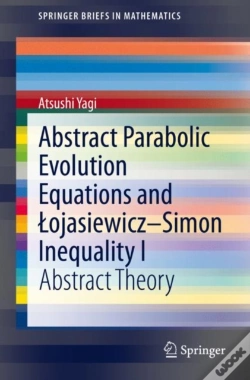 Capa do artigo Abstract Parabolic Evolution Equations And Lojasiewicz-Simon Inequality I