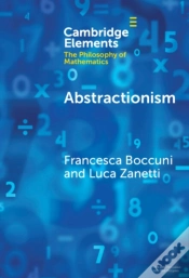 Capa do artigo Abstractionism