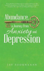 Abundance, A Journey From Anxiety And Depression - Preview