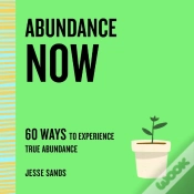 Capa do artigo Abundance Now