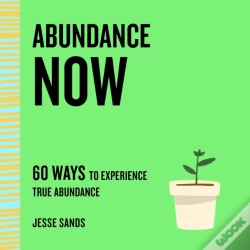 Capa do artigo Abundance Now