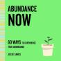 Abundance Now - Preview