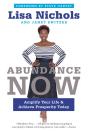 Abundance Now - Preview
