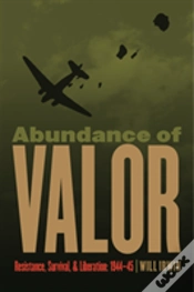 Capa do artigo Abundance Of Valor
