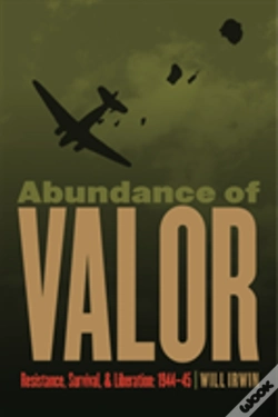 Capa do artigo Abundance Of Valor