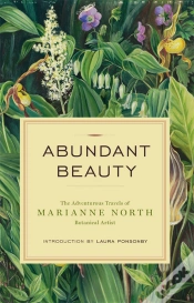 Capa do artigo Abundant Beauty
