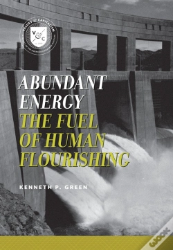 Capa do artigo Abundant Energy