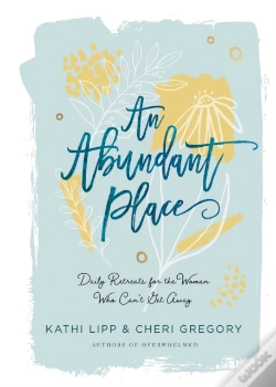 Capa do artigo Abundant Place