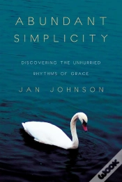 Capa do artigo Abundant Simplicity