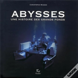 Capa do artigo Abysses