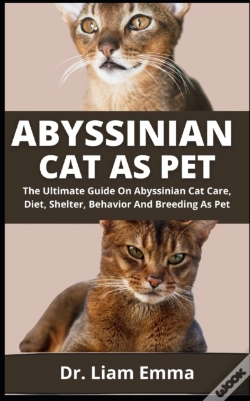 Capa do artigo Abyssinian Cat As Pet