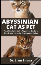 Capa do artigo Abyssinian Cat As Pet