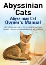 Abyssinian Cats. Abyssinian Cat Owner'S