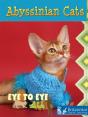 Abyssinian Cats - Preview