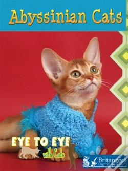 Capa do artigo Abyssinian Cats