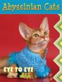 Abyssinian Cats - Preview