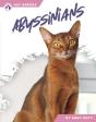 Abyssinians - Preview