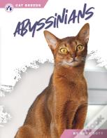 Abyssinians