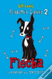 Academia Canina N.º 2