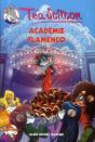 Academie Flamenco  N 16 - Preview