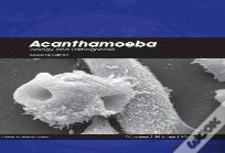 Acanthamoeba